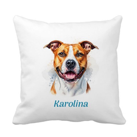 Poduszka Amstaff American Staffordshire Terrier z dowolnym imieniem