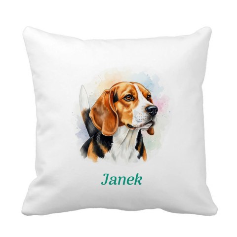 Poduszka Beagle z dowolnym imieniem