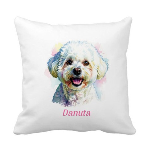 Poduszka Bichon Frise z dowolnym imieniem
