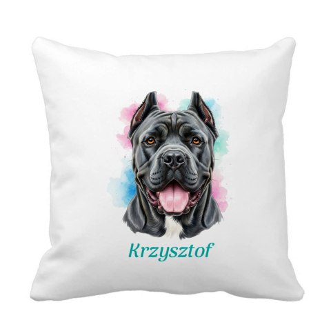 Poduszka Cane Corso z dowolnym imieniem