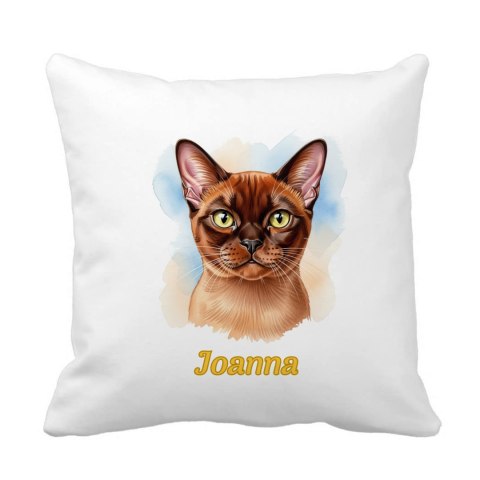 Poduszka Kot birmański z dowolnym imieniem