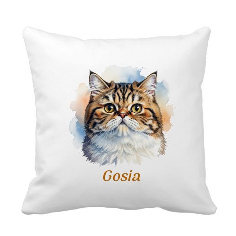 Poduszka Kot perski z dowolnym imieniem