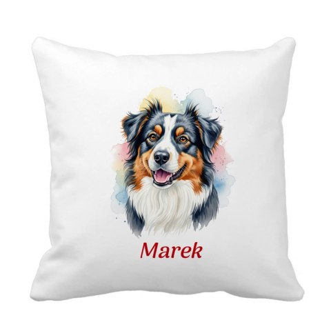 Poduszka Owczarek australijski (Australian Shepherd) z dowolnym imieniem