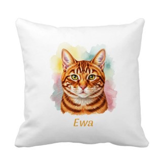 Poduszka Rudy dachowiec z dowolnym imieniem