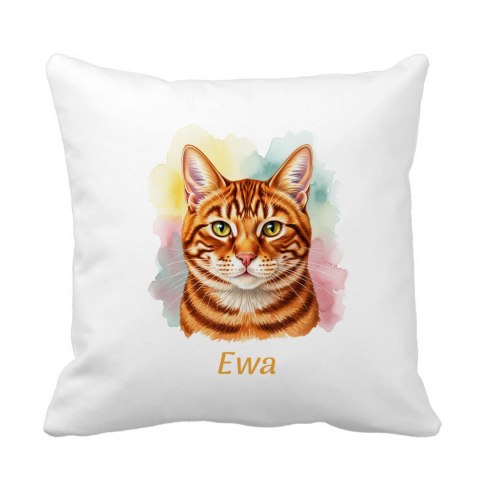 Poduszka Rudy dachowiec z dowolnym imieniem