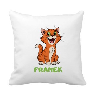 Poduszka Rudy kotek z dowolnym imieniem