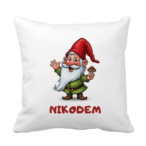 Poduszka Skrzat z dowolnym imieniem