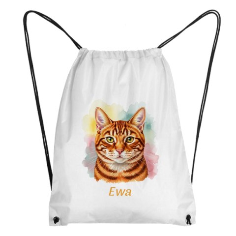 Worek Rudy dachowiec z dowolnym imieniem