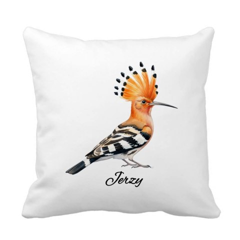 Poduszka Dudek z dowolnym imieniem