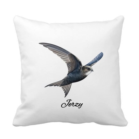 Poduszka Jerzyk z dowolnym imieniem
