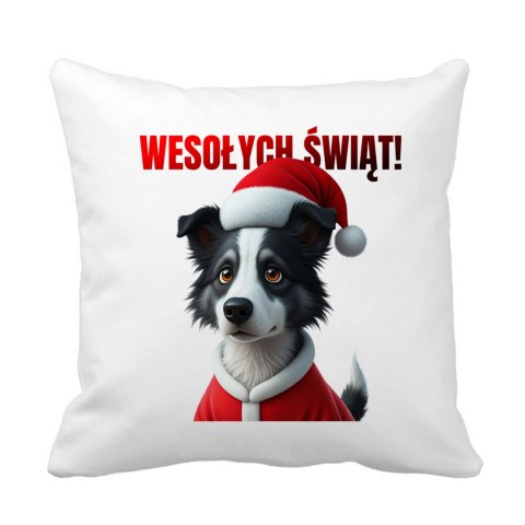 Poduszka Pies Border collie w stroju Świętego Mikołaja