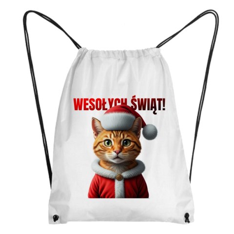 Worek Rudy kot Mikołaj