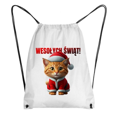Worek Rudy kot w stroju Świętego Mikołaja