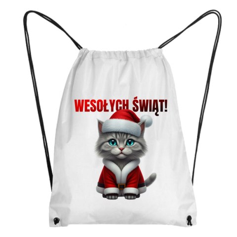Worek Siwy kot w stroju Świętego Mikołaja