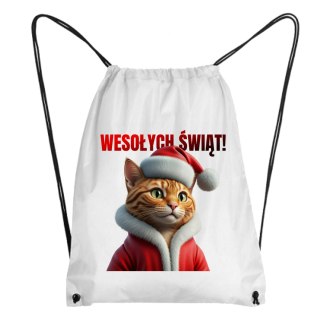 Worek Świąteczny kot